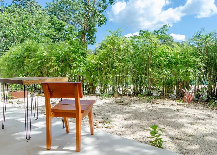 Selva Norte Tulum
