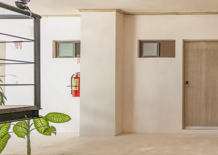 Selva Norte Apartment